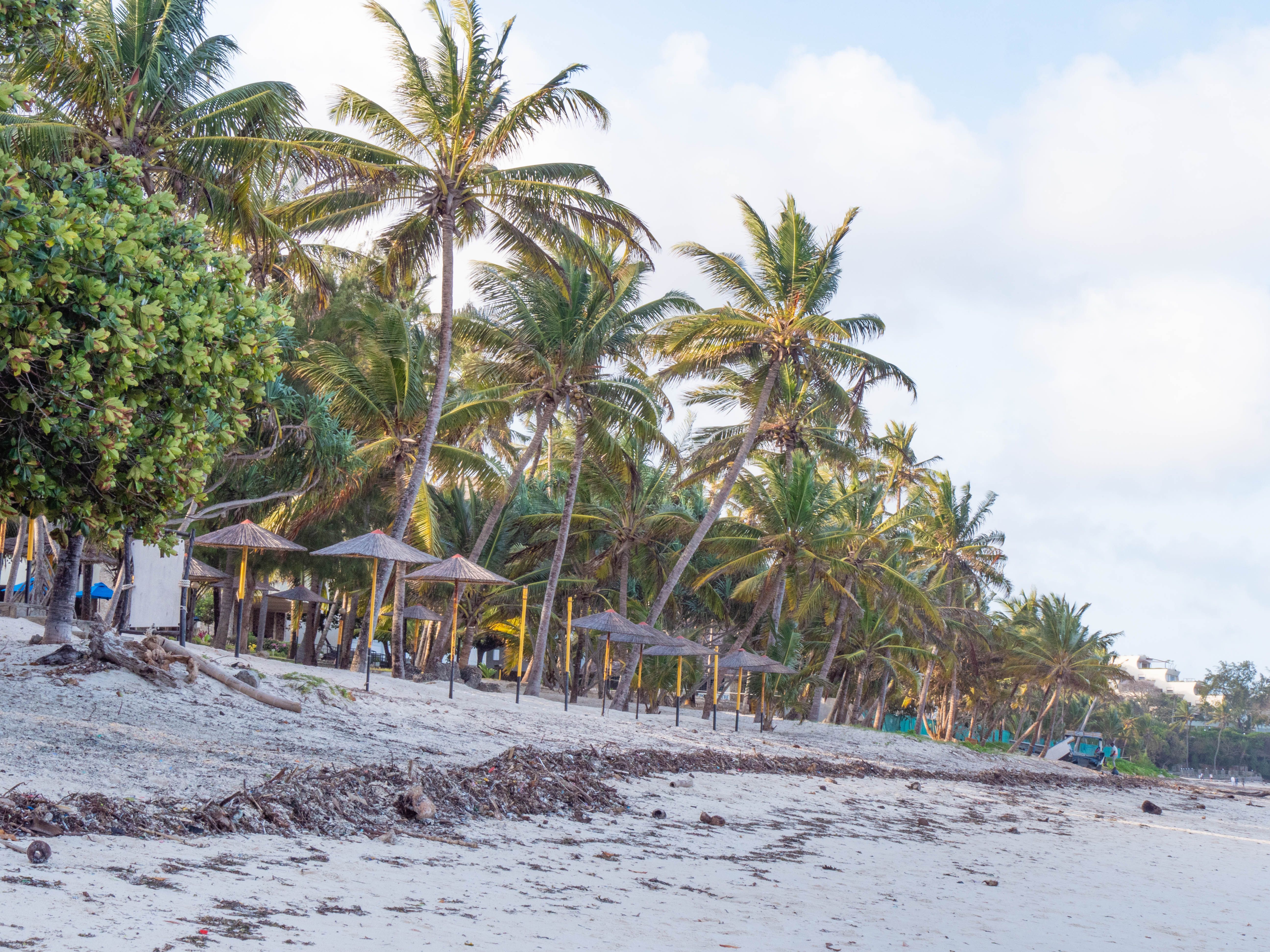 Diani & Watamu - Golden light